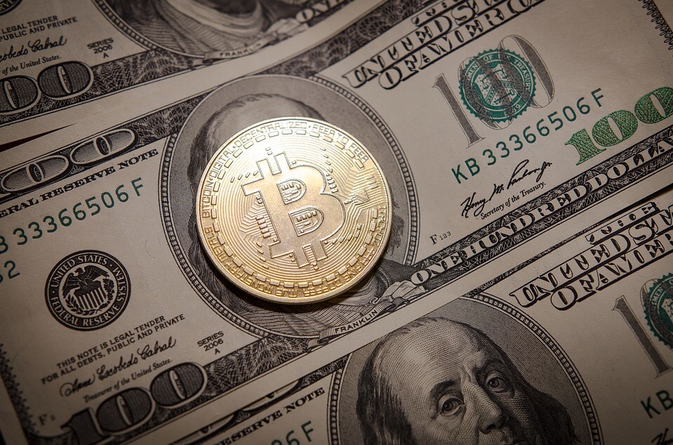 A Comparative Guide Between Crypto And Fiat Currencies